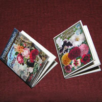 1 inch scale: vintage seed catalogs