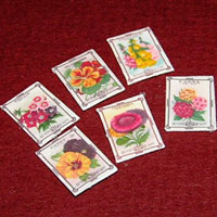 1 inch scale: seed packets
